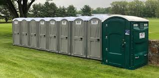 Types of Portable Toilets We Offer in La Grange, NC